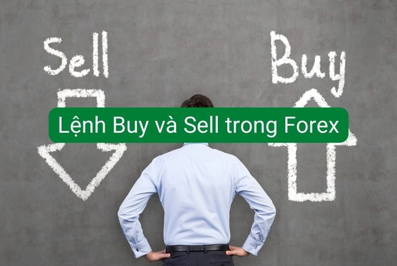 Lệnh Buy và Sell trong Forex