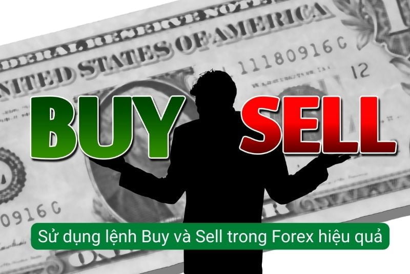 buy và sell là gì trong forex