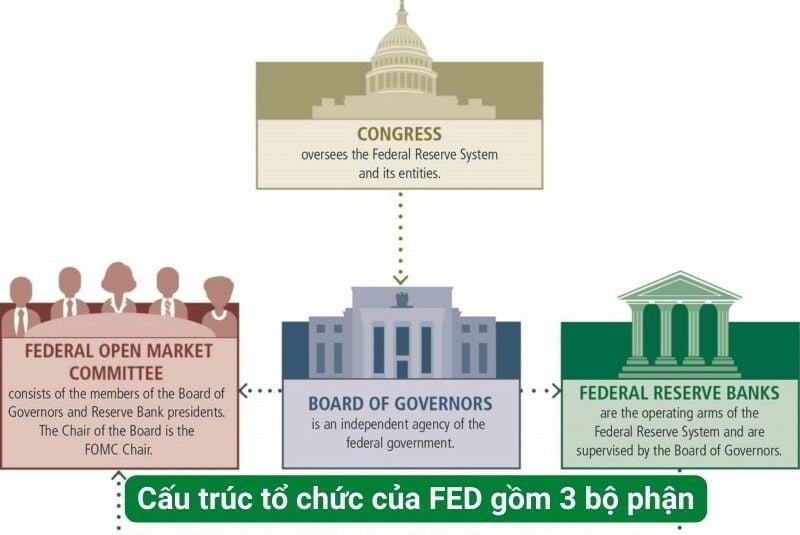 Cấu trúc tổ chức của Fed