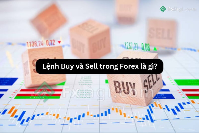 lệnh buy và sell là gì trong Forex