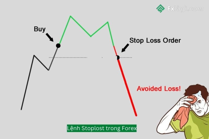Lệnh Stop lost trong forex