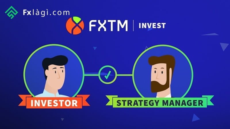 Ngoài MT4 và MT5 thì ForexTime (FXTM) còn cung cấp nền tảng FXTM Invest cho dịch vụ CopyTrade để thu hút thêm nhà đầu tư mới.
