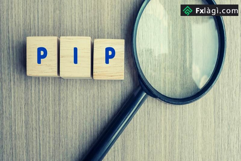 Pip là tỷ giá chênh lệch giữa giá mua và giá bán tại một thời điểm
