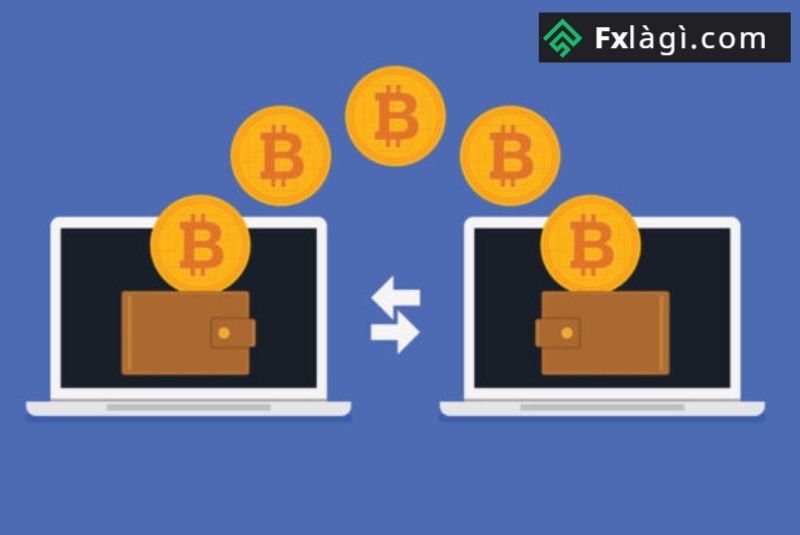 Bitcoin ngăn chặn việc đảo ngược của các khoản thanh toán điện tử