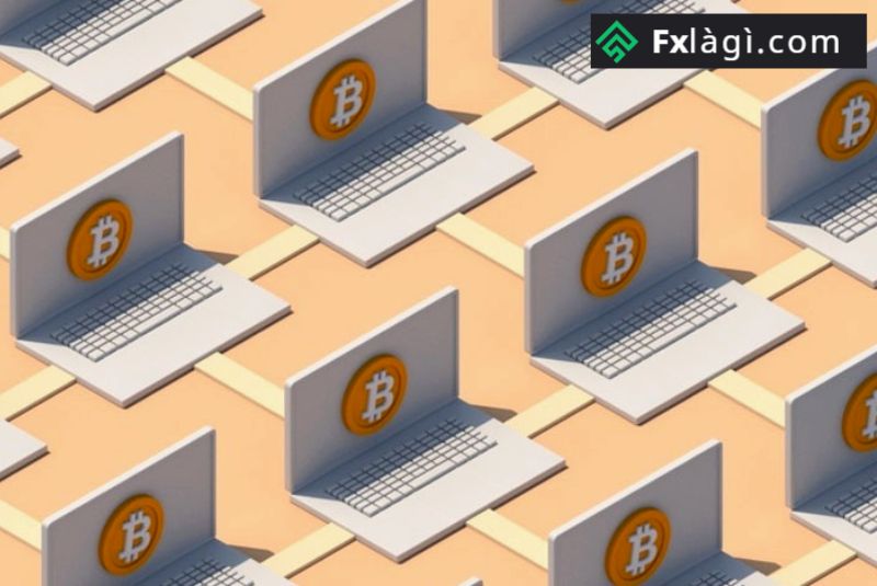 Các nút trong hệ thống Bitcoin là gì?