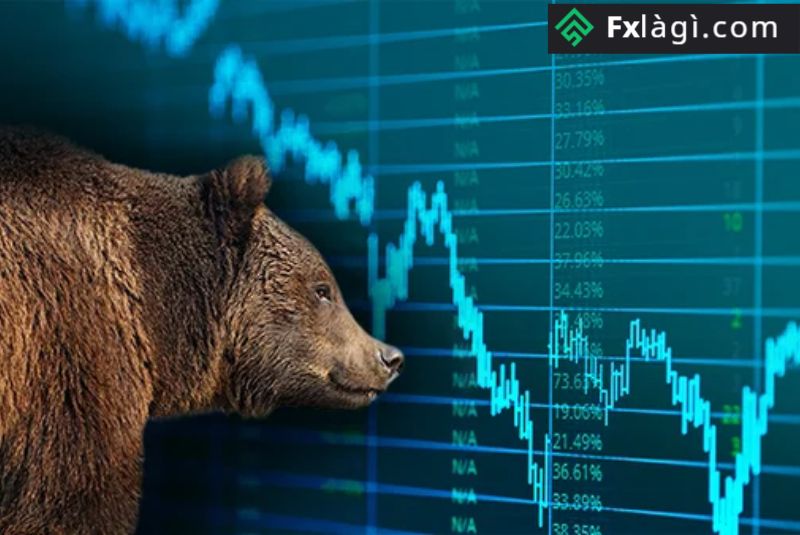 Biểu đồ Bearish và thị trường Bearish xay đến được ví như đòn tấn công của con gấu