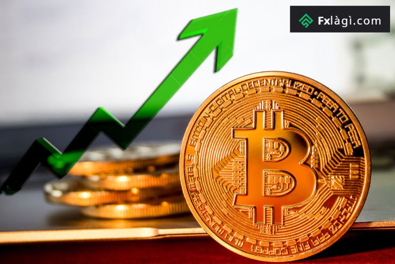 bitcoin tăng giá trong tuần này