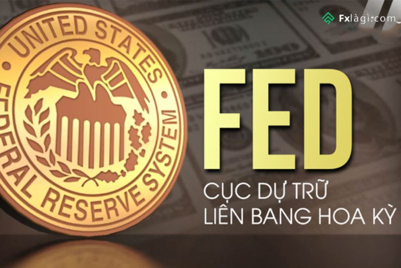 Fed là gì
