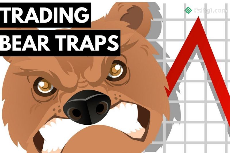 Bẫy gấu Bear Trap là gì?