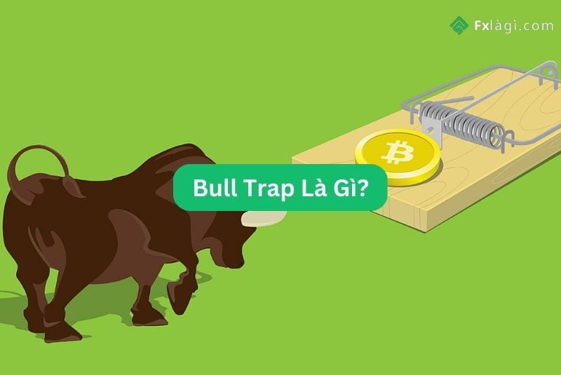Bull trap là gì? 