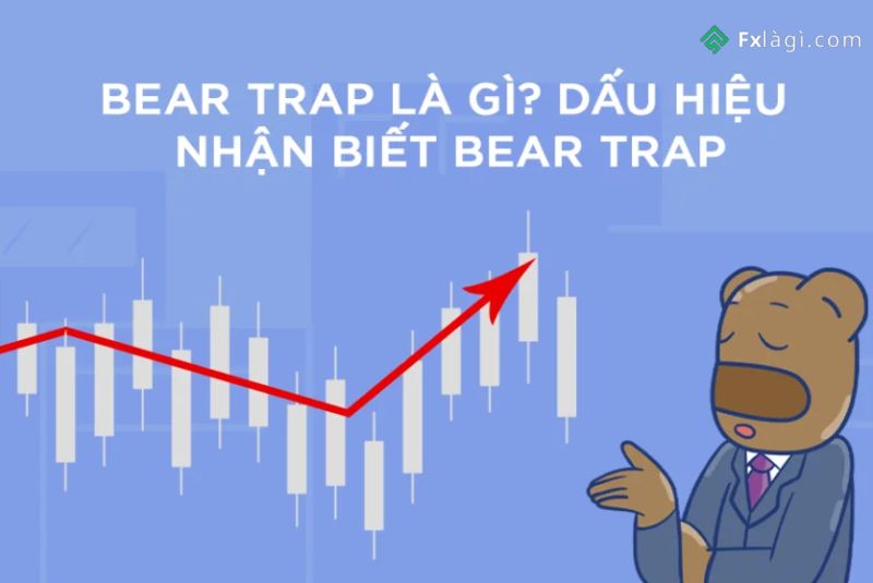 Khối lượng giao dịch tăng đột biến là dấu hiệu xuất hiện bẫy gấu