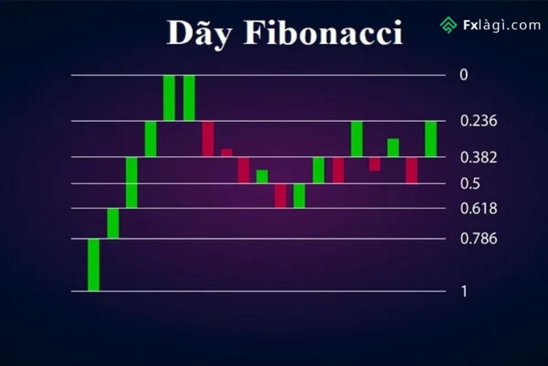 Chỉ báo Fibonacci giúp nhận biết bẫy gấu
