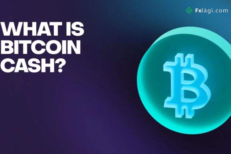 Tiền điện tử Bitcoin Cash là gì?