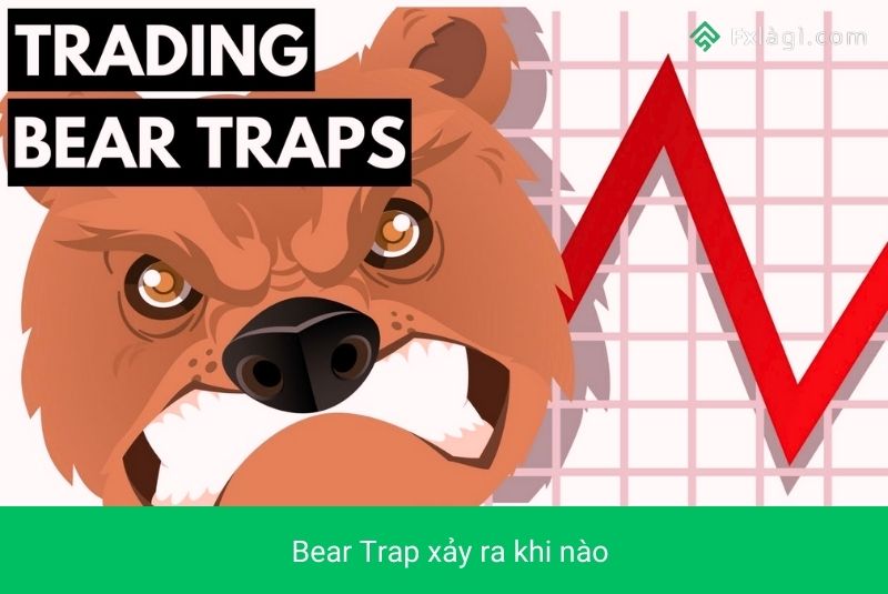 bear trap xảy ra khi nào