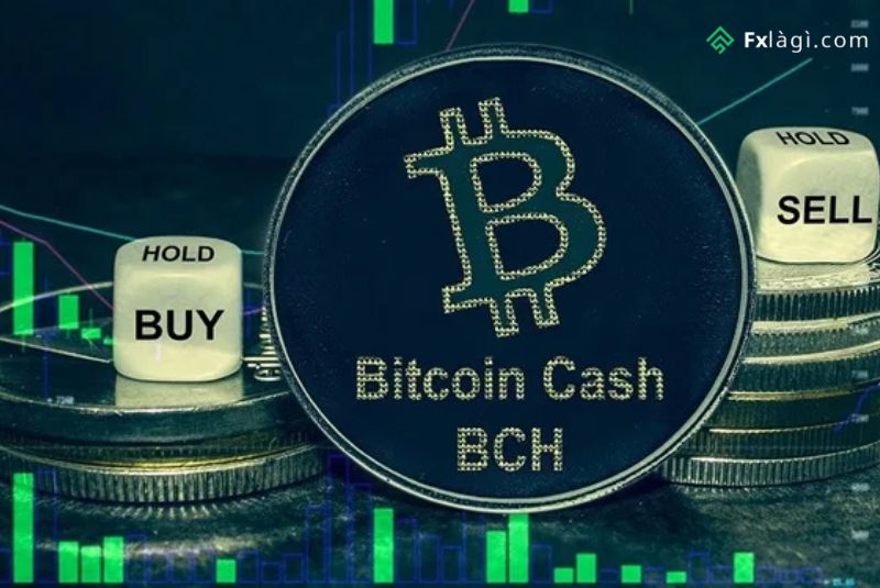 tiền điện tử Bitcoin cash là gì